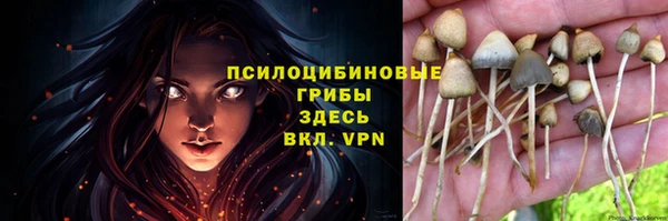 наркотики Няндома