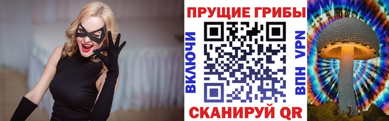 где найти наркотики  Сычёвка  MEGA ссылки  Галлюциногенные грибы MAGIC MUSHROOMS 